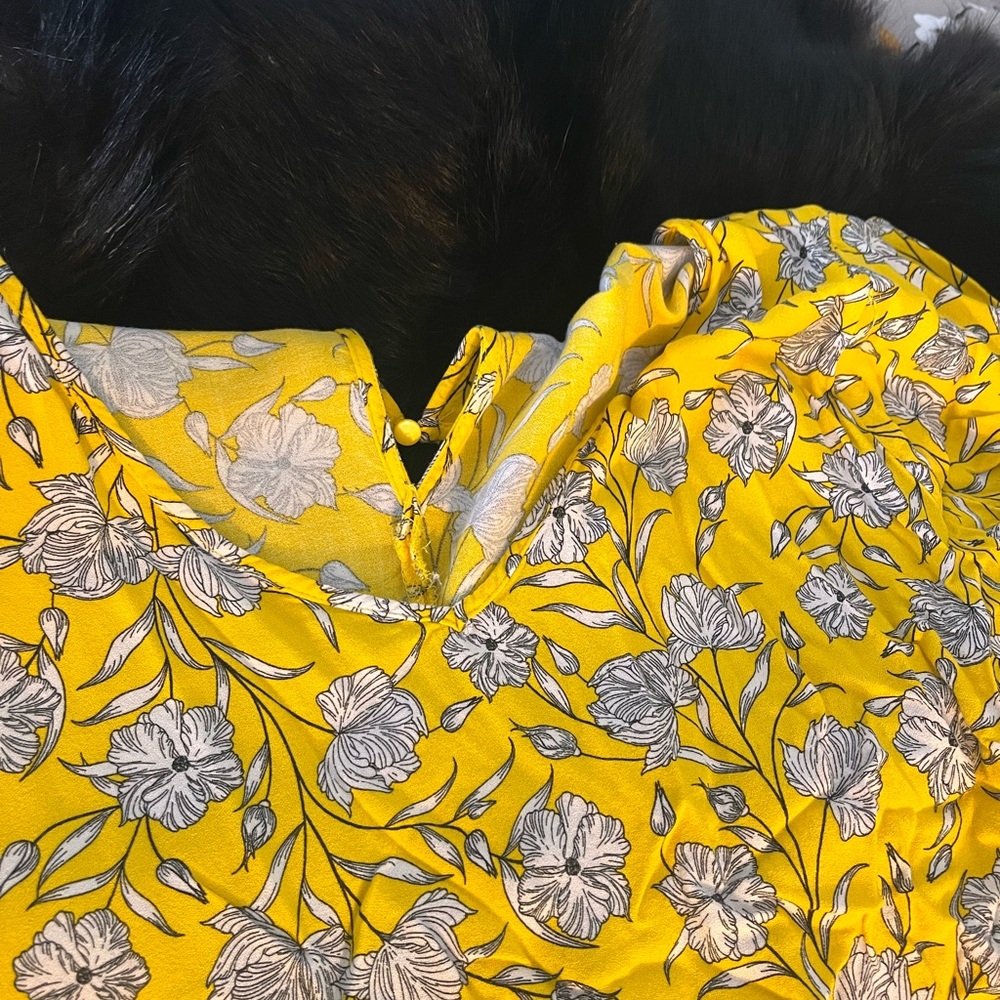 Ellos spring dress